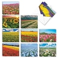 thumbnail image 1 of The Best Card Company - 20 Assorted Blank Plant Cards Boxed (4 x 5.12 Inch) (10 Designs, 2 Each) - Super Blooms AM7175OCB-B2x10, 1 of 9