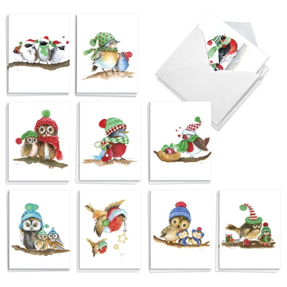 The Best Card Company 20 Assorted Christmas Notes Boxed Set 4 x 5.12 Inch with Envelopes (10 Designs, 2 Each) Holiday Bird Buddies AM10785XSG-B2x10