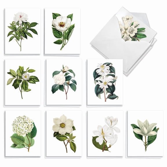 The Best Card Company 20 Assorted Thank You Notecards Boxed Set 4 x 5.12 Inch with Envelopes (10 Designs, 2 Each) Snow-White Blooms AM2818TYG-B2x10
