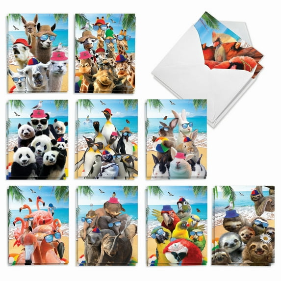The Best Card Company 20 Assorted Thank You Notecards Boxed Set 4 x 5.12 Inch with Envelopes (10 Designs, 2 Each) Wildlife Photo Ops AM10209TYG-B2x10