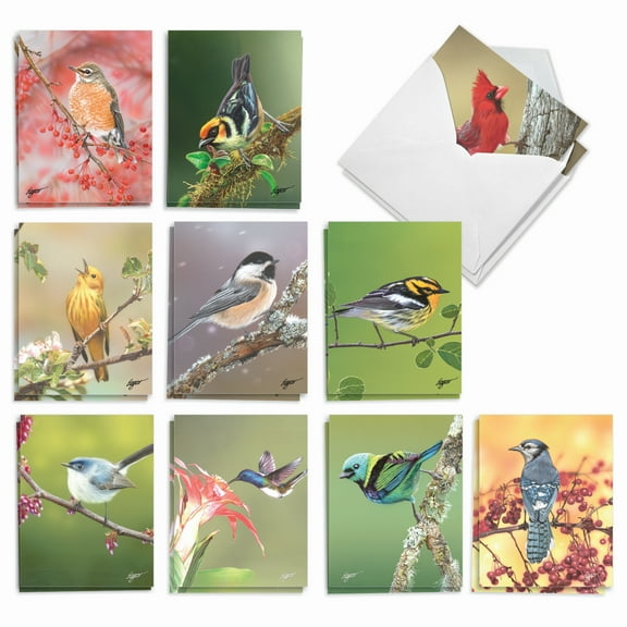 The Best Card Company 20 Assorted Thank You Notes Box Set 4 x 5.12 Inch with Envelopes (10 Designs, 2 Each) Bird Beauties AM9616TYG-B2x10