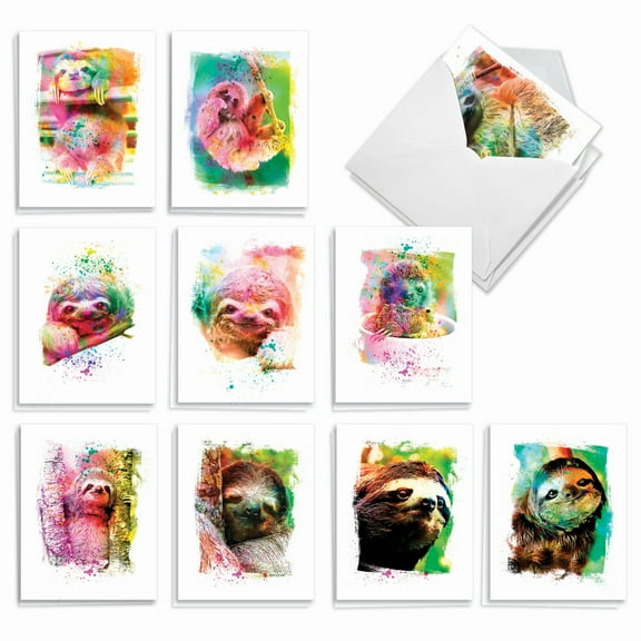 The Best Card Company 20 Assorted Thank You Notes Boxed Set 4 x 5.12 Inch with Envelopes (10 Designs, 2 Each) Funky Rainbow Sloth AM6866TYG-B2x10