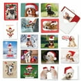 thumbnail image 1 of The Best Card Company 36 Assorted Christmas Note Cards Boxed Set 4 x 5.12 Inch with Envelopes (18 Designs, 2 Each) Holiday Dogs AM7847XSG-B2x18, 1 of 6