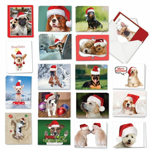 The Best Card Company 36 Assorted Christmas Note Cards Boxed Set 4 x 5.12 Inch with Envelopes (18 Designs, 2 Each) Holiday Dogs AM7847XSG-B2x18