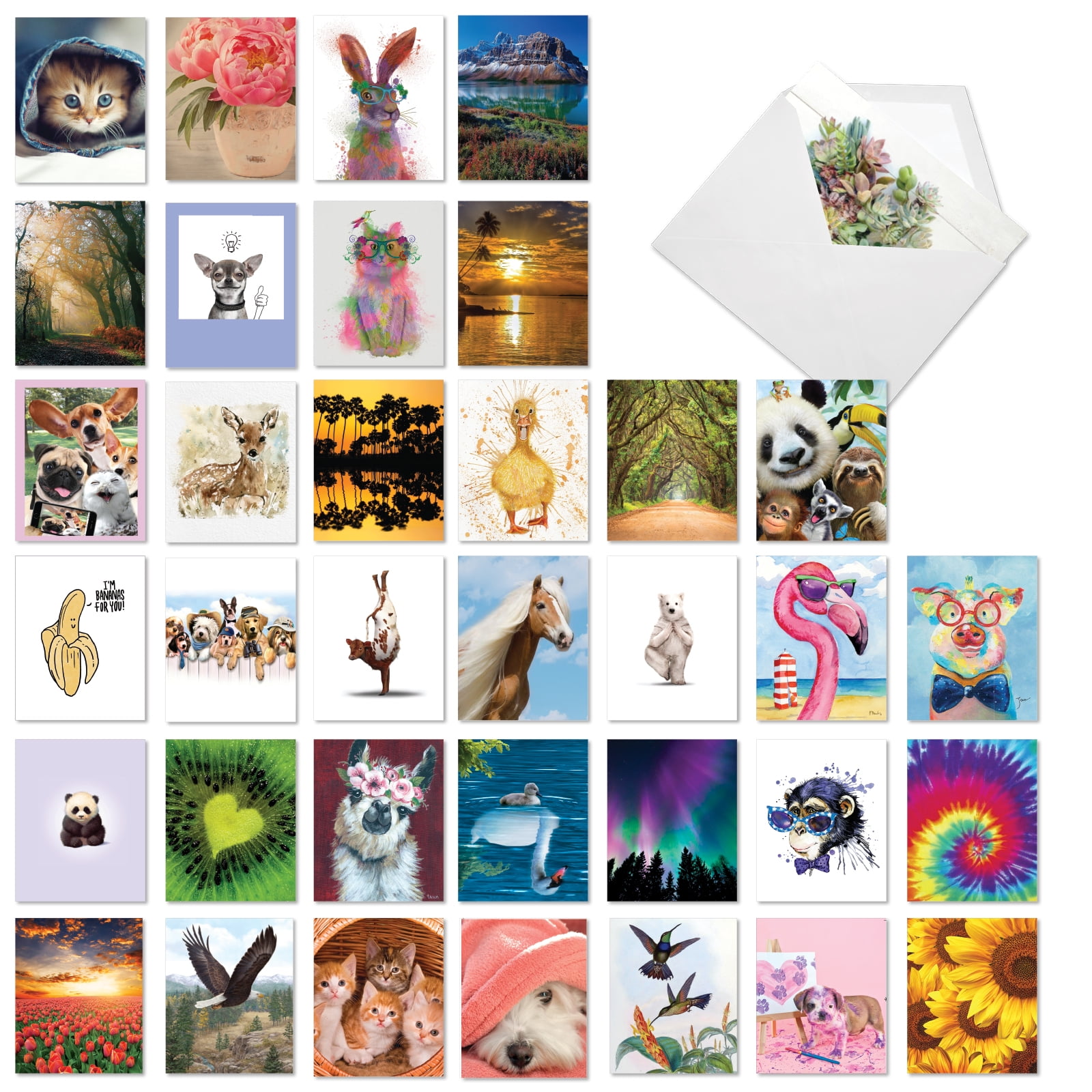 The Best Card Company 36 Assorted Thank You Notecards Box Set 4 x 5.12 Inch with Envelopes (36 Designs, 1 Each) Many Smiles AM7754TYG-B1x36