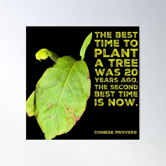 The Best Time To Plant A Tree Poster Wall Art, Modern Wall Decor For Living Room Bedroom, 8x12 UNFRAMED