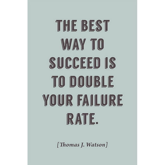 The Best Way To Succeed, motivational poster