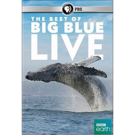 The Best of Big Blue Live (DVD), PBS (Direct), Special Interests