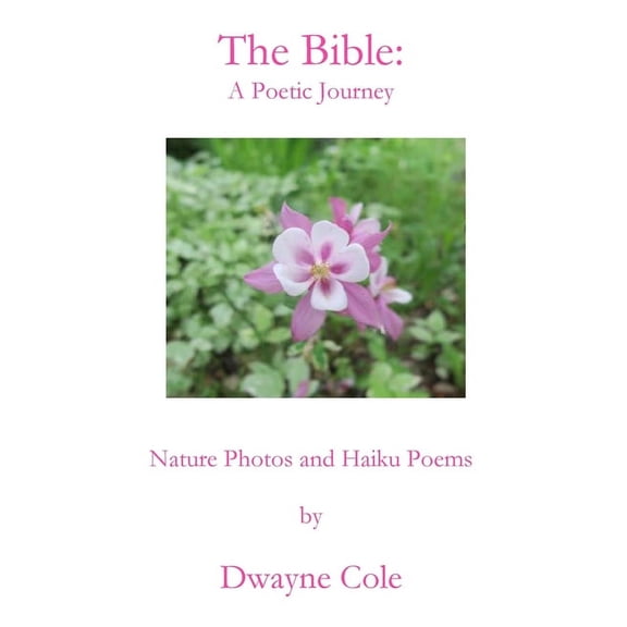 The Bible: A Poetic Journey, (Paperback)