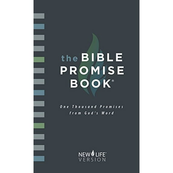 Pre-Owned The Bible Promise Book - Nlv (Paperback) 1597895202 9781597895200