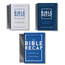 The Bible Recap Three Book Bundle (Spiral-Bound)