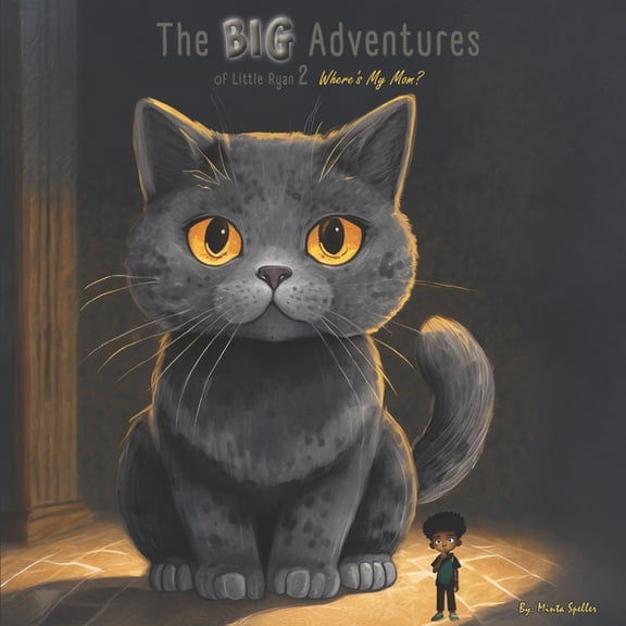 The Big Adventures of Little Ryan The Big Adventures Of Little Ryan: Where's My Mom?, Book 2, (Paperback)