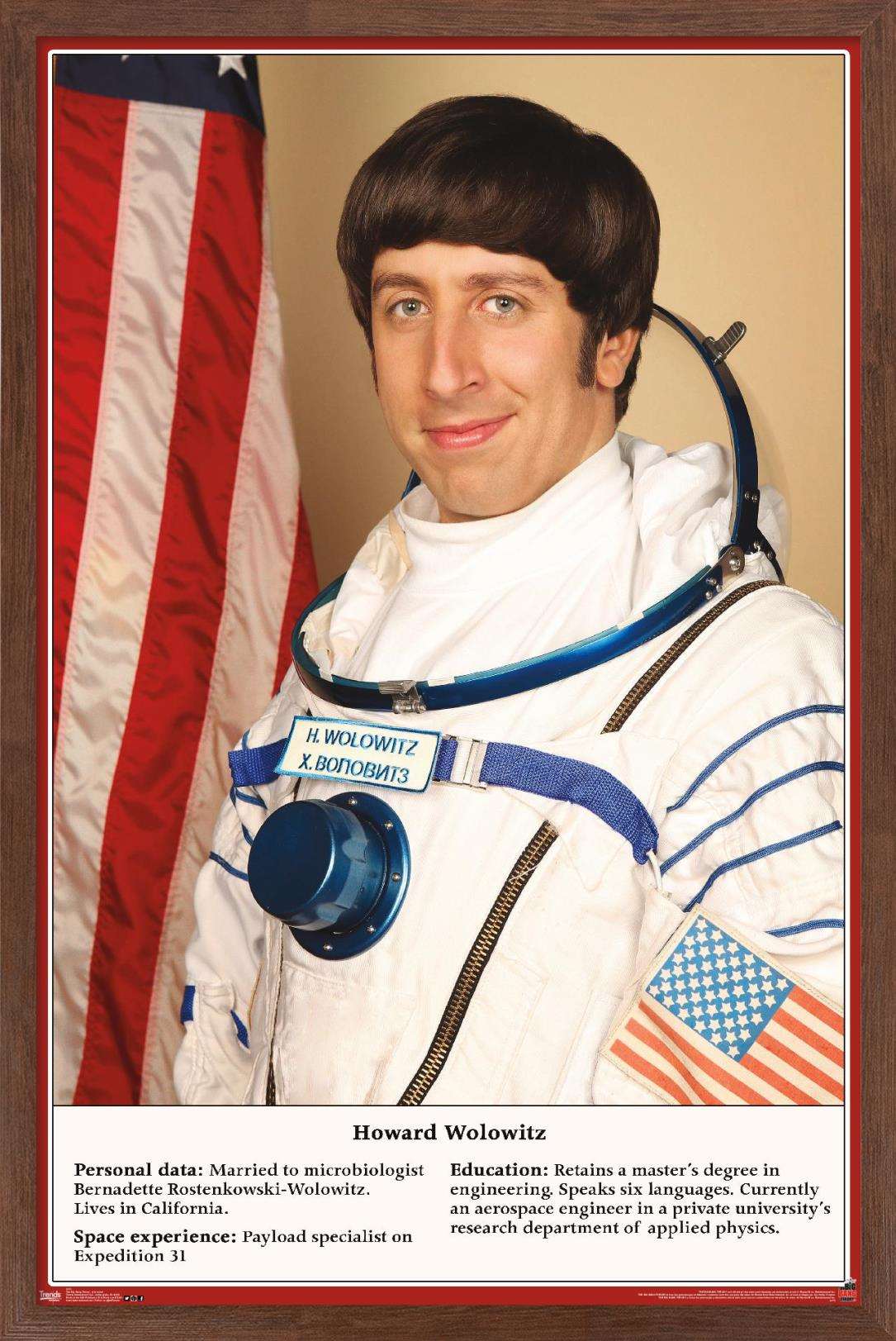 The Big Bang Theory - Astronaut Wall Poster, 14.725" x 22.375", Framed