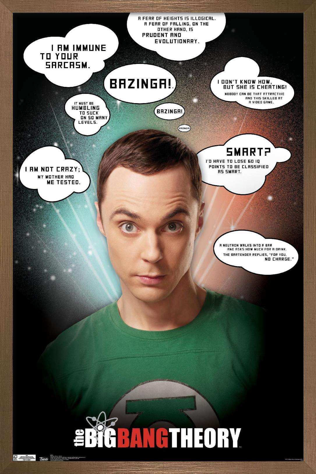 The Big Bang Theory - Quotes Wall Poster, 22.375" x 34", Framed