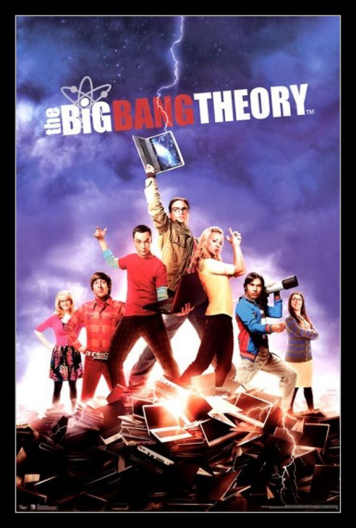 Big bang theory season 5 free sale