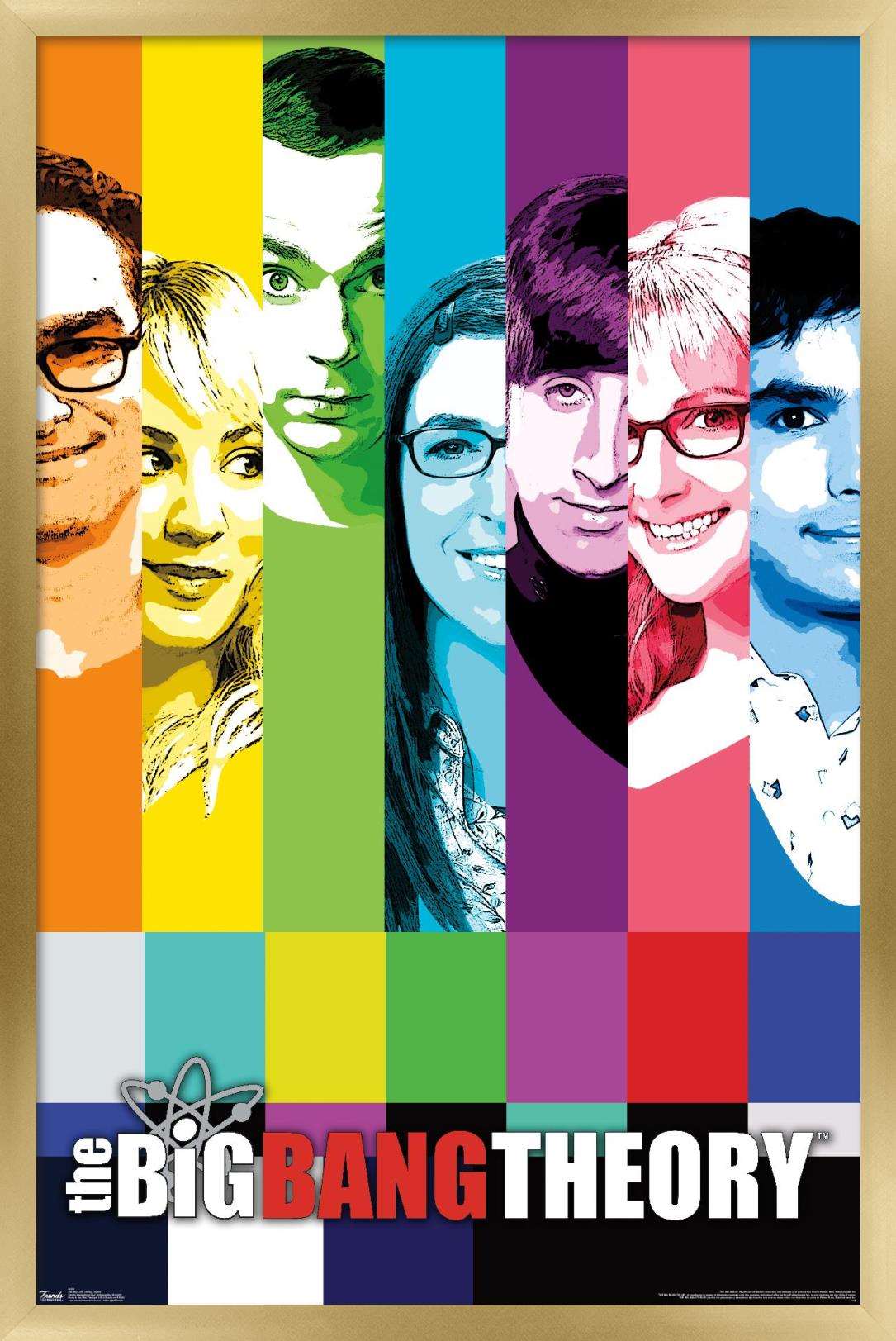 The Big Bang Theory - Signal Wall Poster, 14.725" x 22.375", Framed