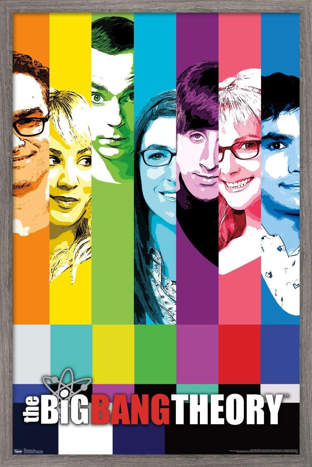 The Big Bang Theory - Signal Wall Poster, 22.375" x 34", Framed