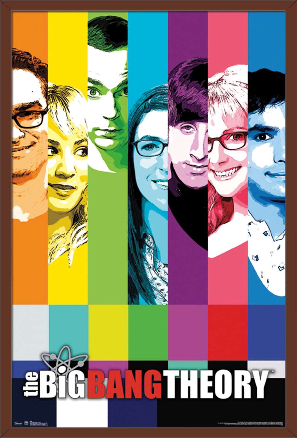 The Big Bang Theory - Signal Wall Poster, 22.375" x 34", Framed