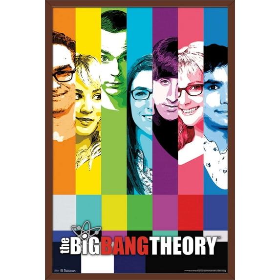The Big Bang Theory - Signal Wall Poster, 22.375" x 34", Framed