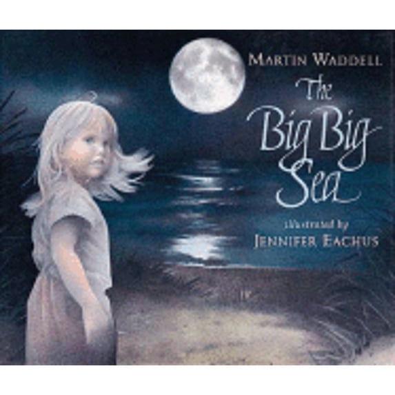 Pre-Owned The Big Big Sea (Hardcover) 1564020665 9781564020666