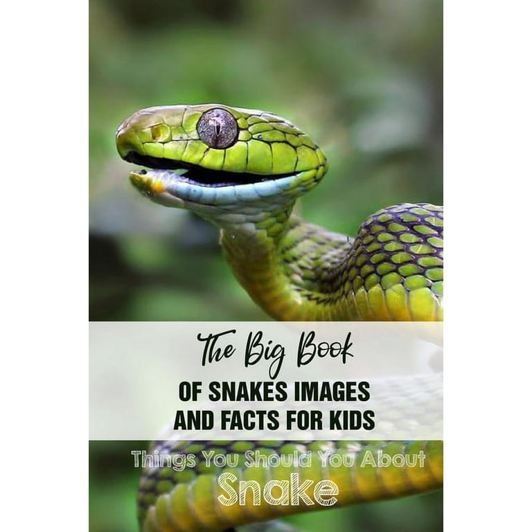 Facts About Snakes, Snake Facts for Kids