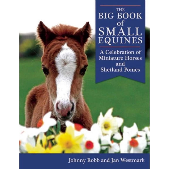 The Big Book of Small Equines : A Celebration of Miniature Horses and Shetland Ponies (Paperback)