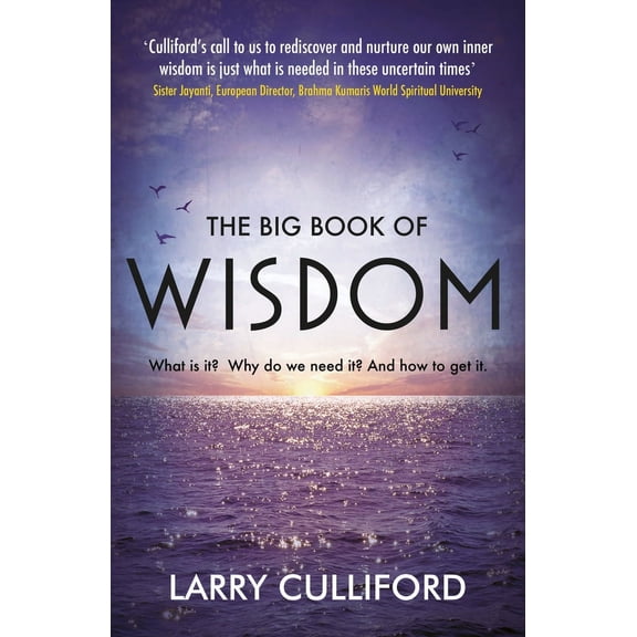 The Big Book of Wisdom : What Is It? Why Do We Need It? And How to Get It? (Paperback)