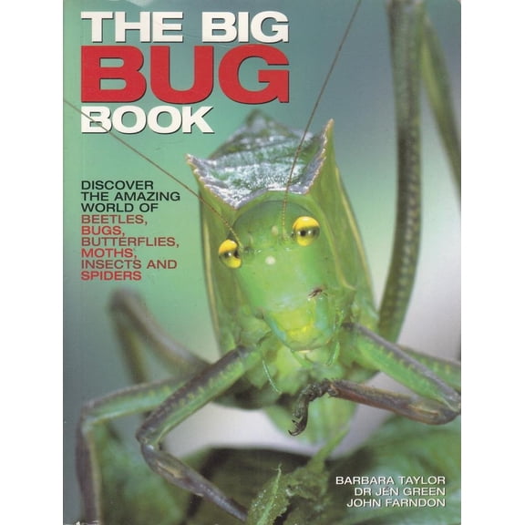 The Big Bug Book by Barbara Taylor (2010-05-04) (Paperback)