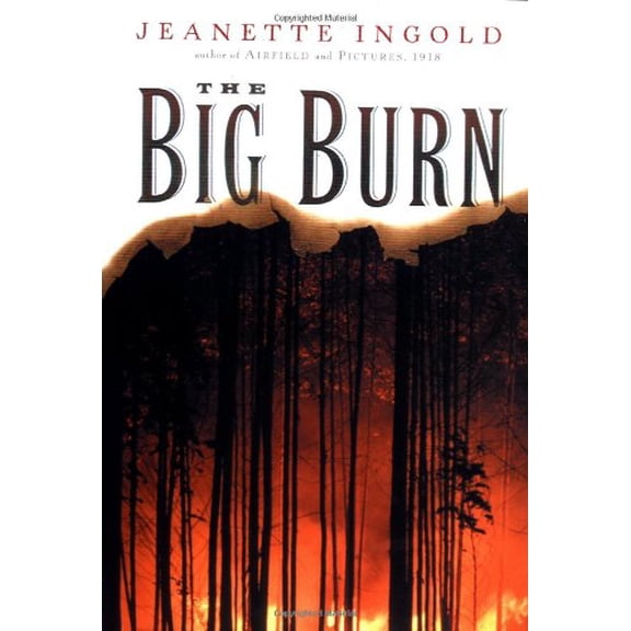 Pre-Owned The Big Burn (Hardcover) 0152164707 9780152164706