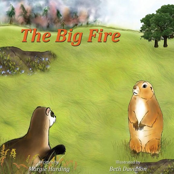 The Big Fire, (Paperback)