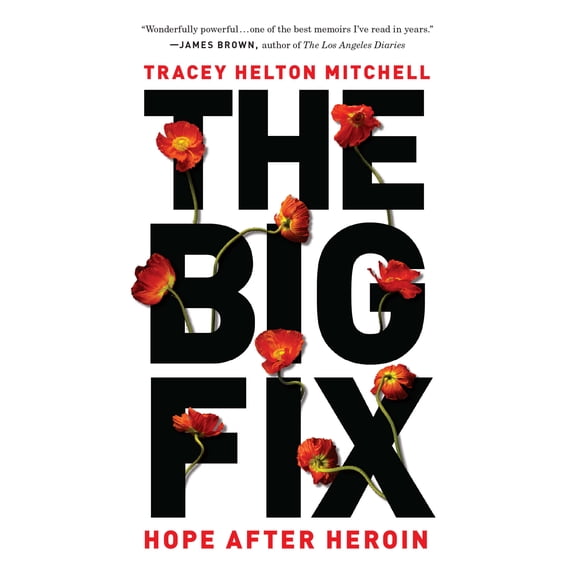 The Big Fix : Hope After Heroin (Paperback)