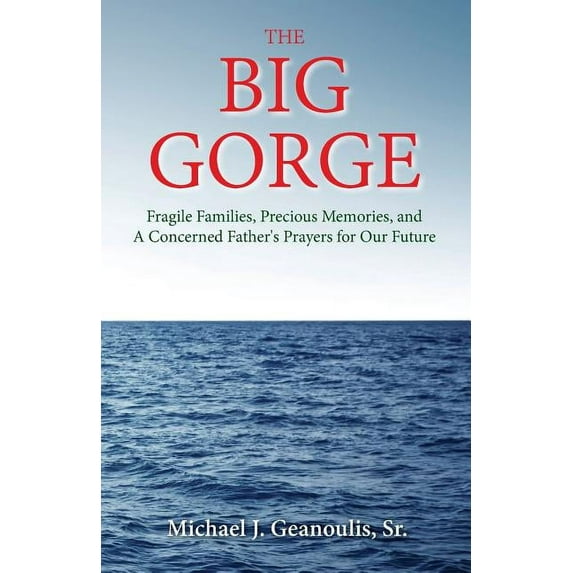 The Big Gorge: Fragile Families, Precious Memories, and a Concerned Father's Prayers for Our Future, (Paperback)