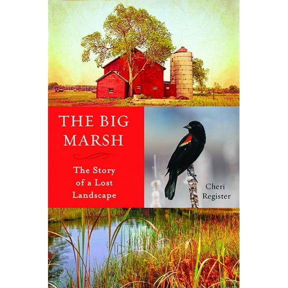 The Big Marsh: The Story of a Lost Landscape, (Paperback)