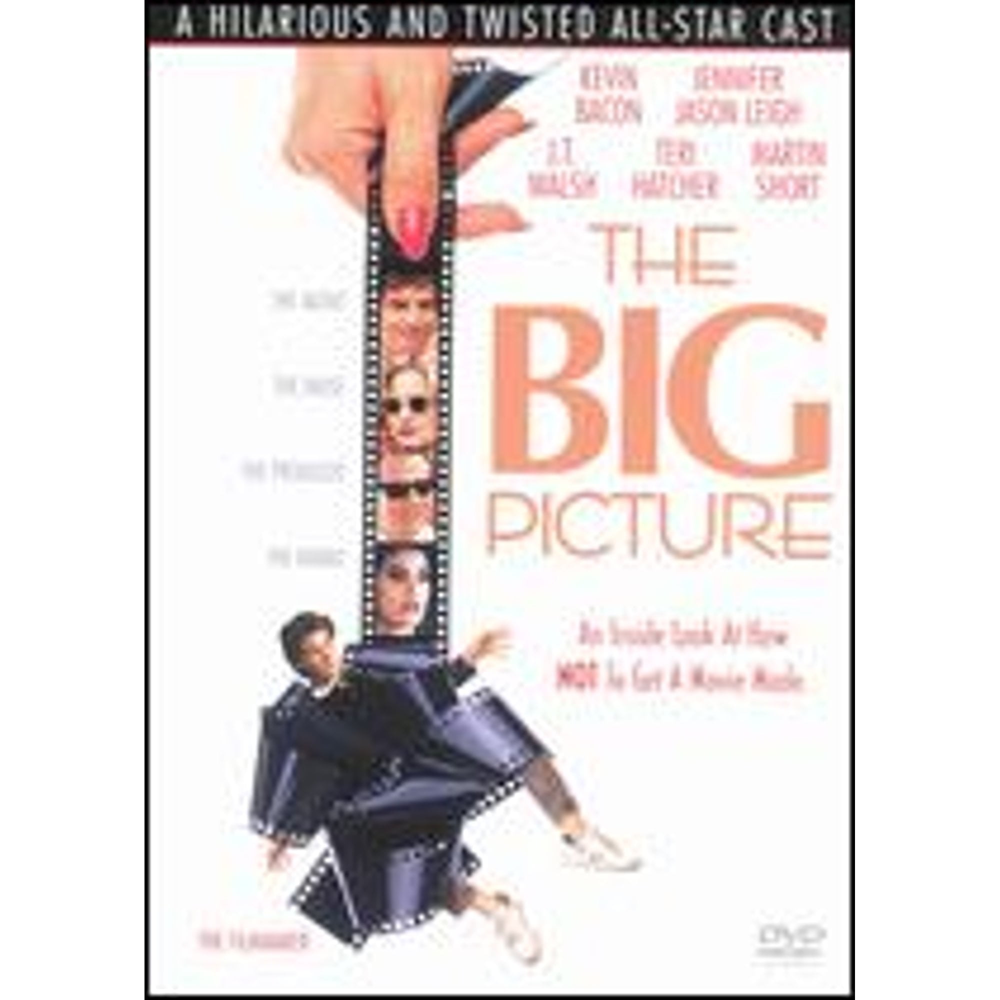 Pre-Owned The Big Picture (DVD 0043396052642) directed by Christopher Guest