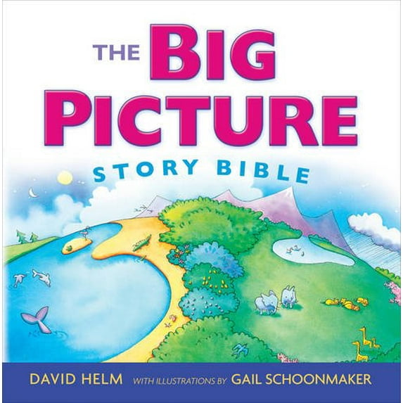 Pre-Owned The Big Picture Story Bible (Redesign) (Hardcover) 1433543117 9781433543111