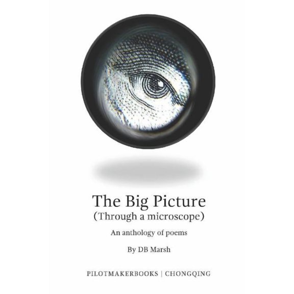 The Big Picture : (through a Microscope) (Paperback)