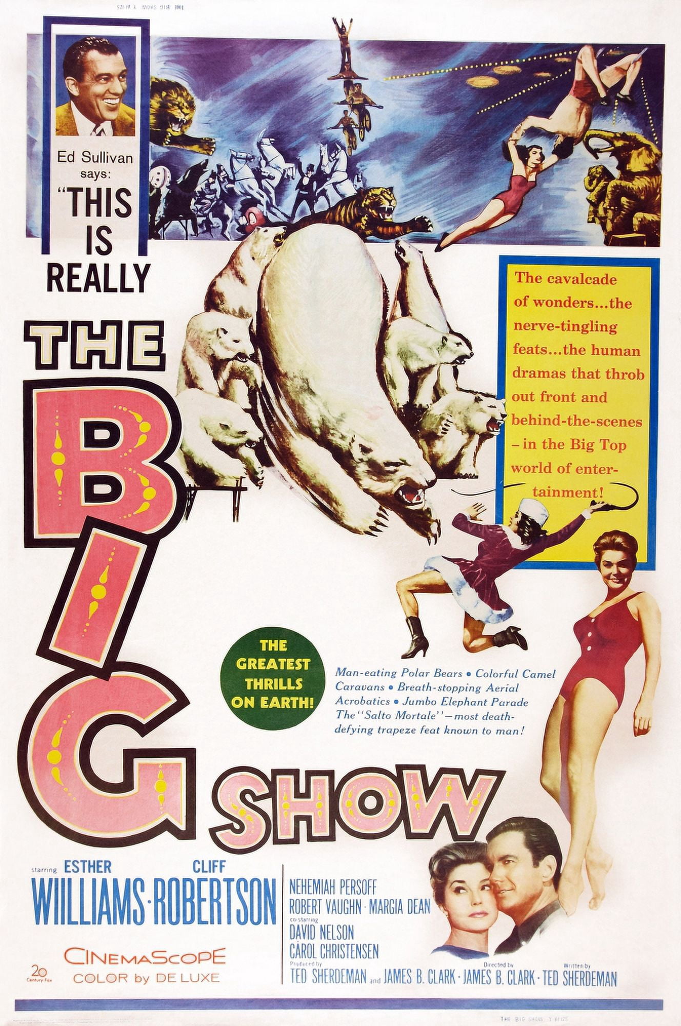 The Big Show U Canvas Art - (11 x 17)