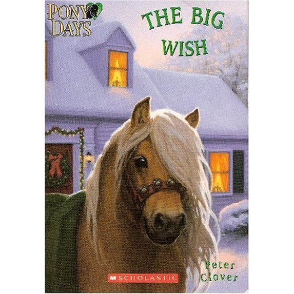 Pre-Owned The Big Wish Paperback
