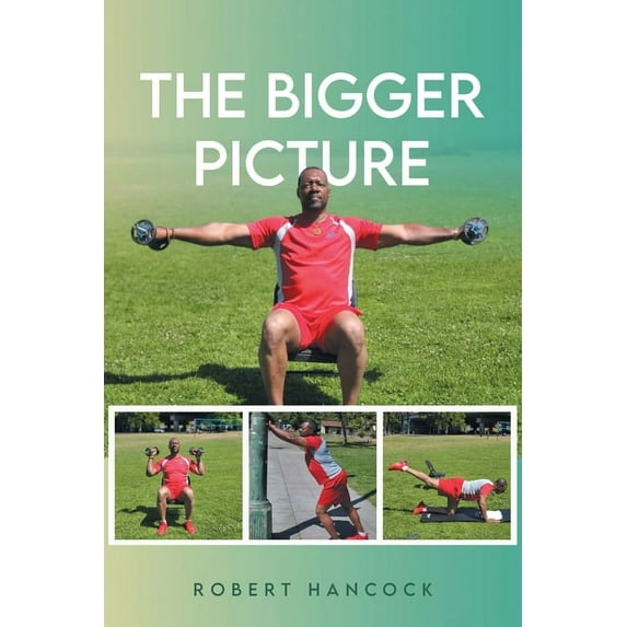 The Bigger Picture (Paperback)