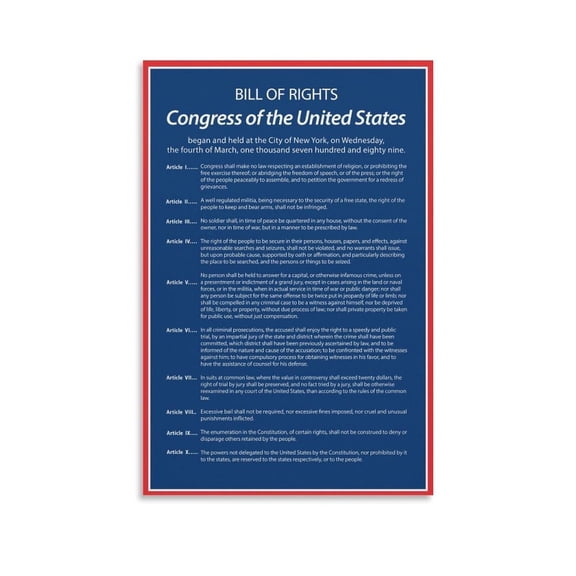 The Bill of Rights Poster The U.S. Constitution US History Government Canvas Wall Art Aesthetic Decorative Painting Classroom Schoolstyle