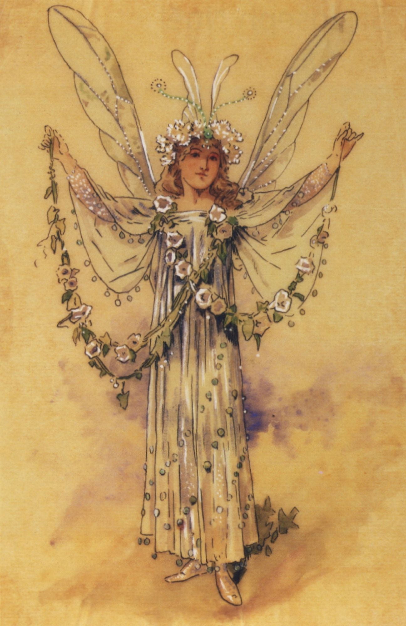 The Bindweed Fairy Canvas Art - Charles Wilhelm (18 x 24)