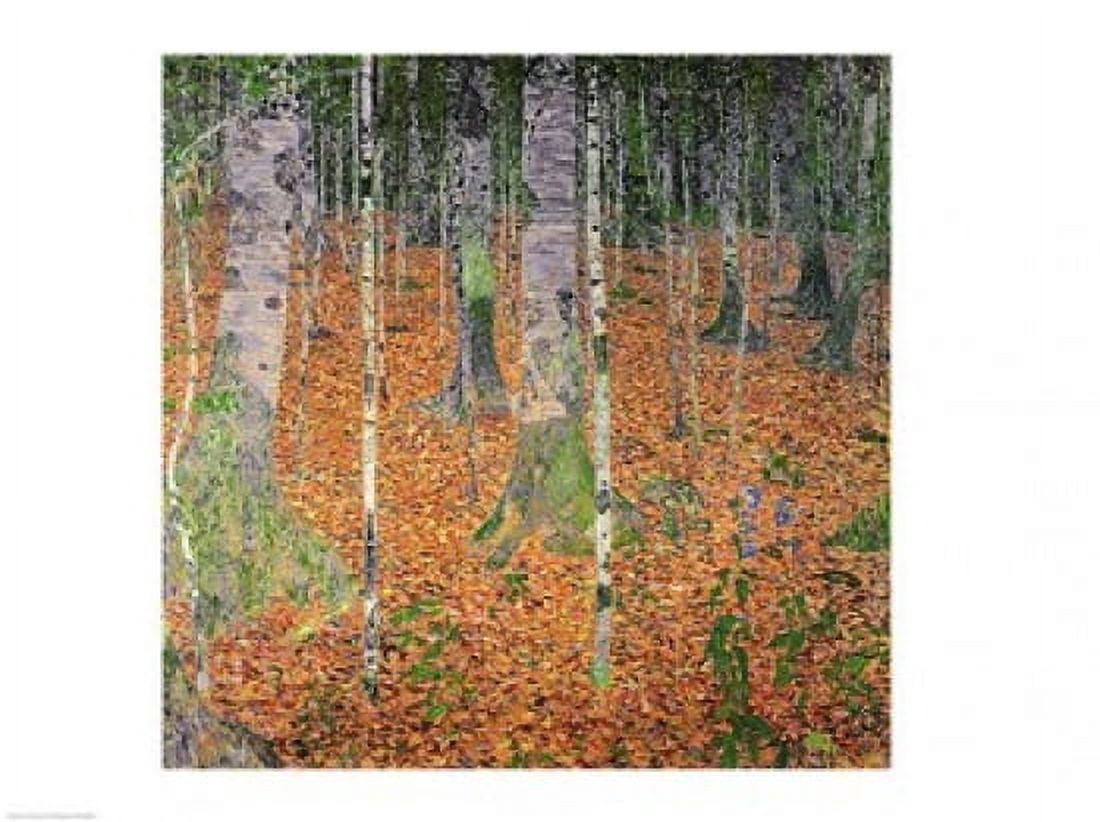 The Birch Wood 1903 Canvas Art - Gustav Klimt (24 x 18)