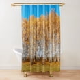 thumbnail image 1 of The Birches Shower Curtain Birch Trees Bathroom Shower Curtains Art Printed Waterproof Polyester Bathroom Set Decor with Hooks, 1 of 5