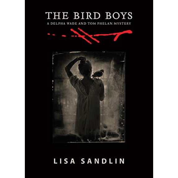 Pre-Owned The Bird Boys (Paperback) 1947627139 9781947627130