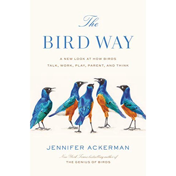 Pre-Owned The Bird Way: A New Look at How Birds Talk, Work, Play, Parent, and Think (Hardcover) 0735223017 9780735223011