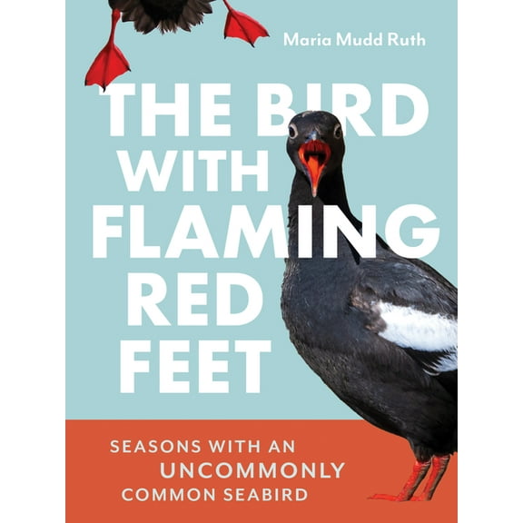 The Bird with Flaming Red Feet: Seasons with an Uncommonly Common Seabird, (Paperback)