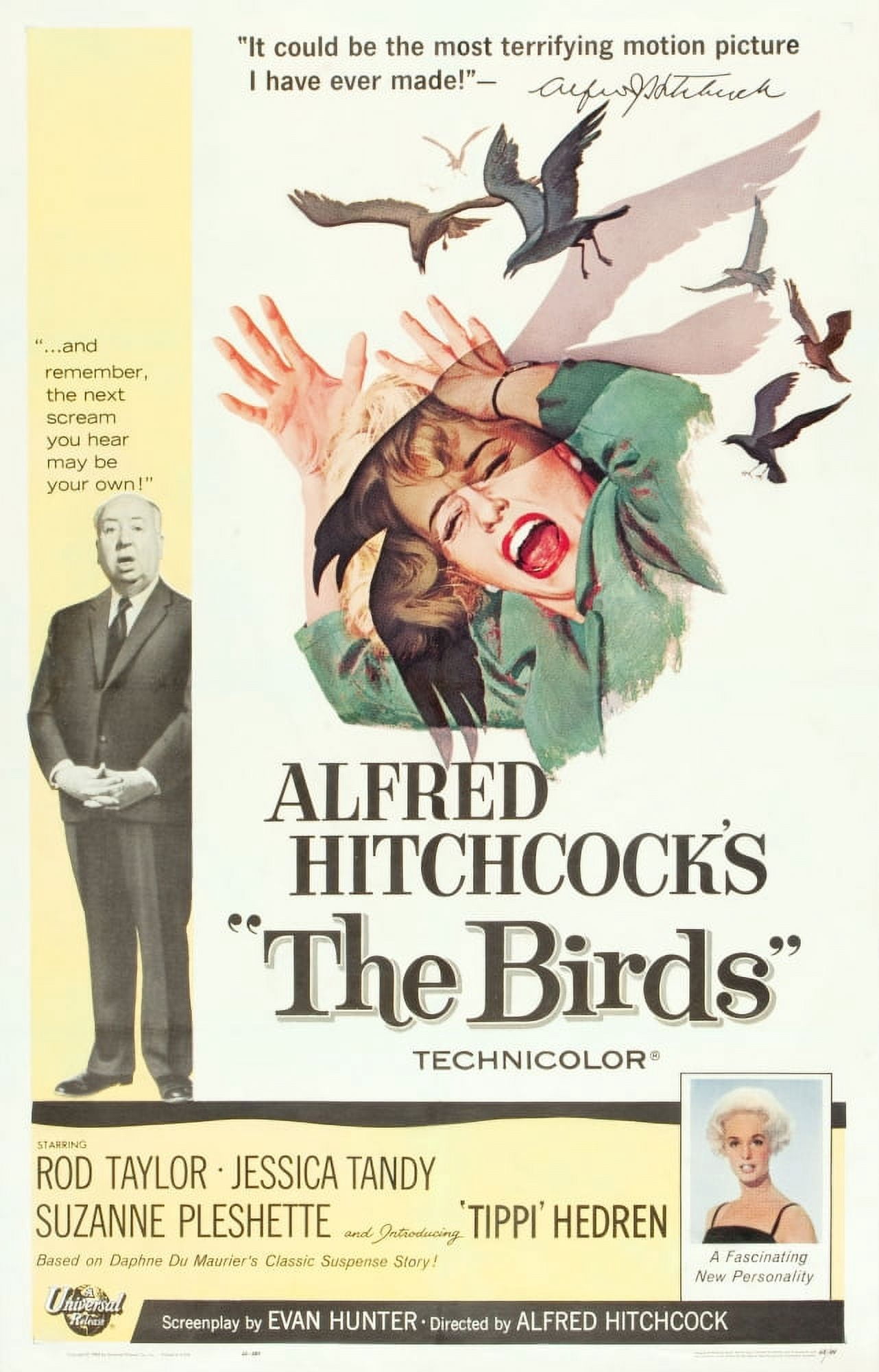 The Birds Canvas Art - (24 x 36)