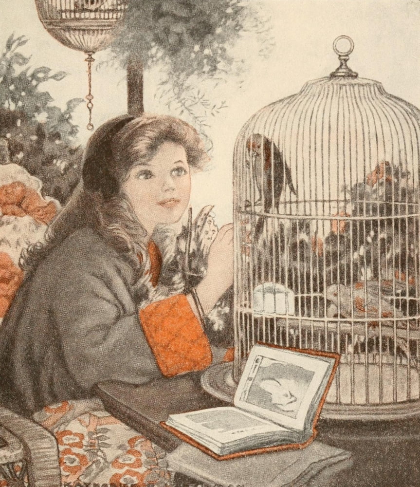 The Birds Christmas Carol 1912 Girl with birdcage Canvas Art - Katherine Wireman (18 x 24)