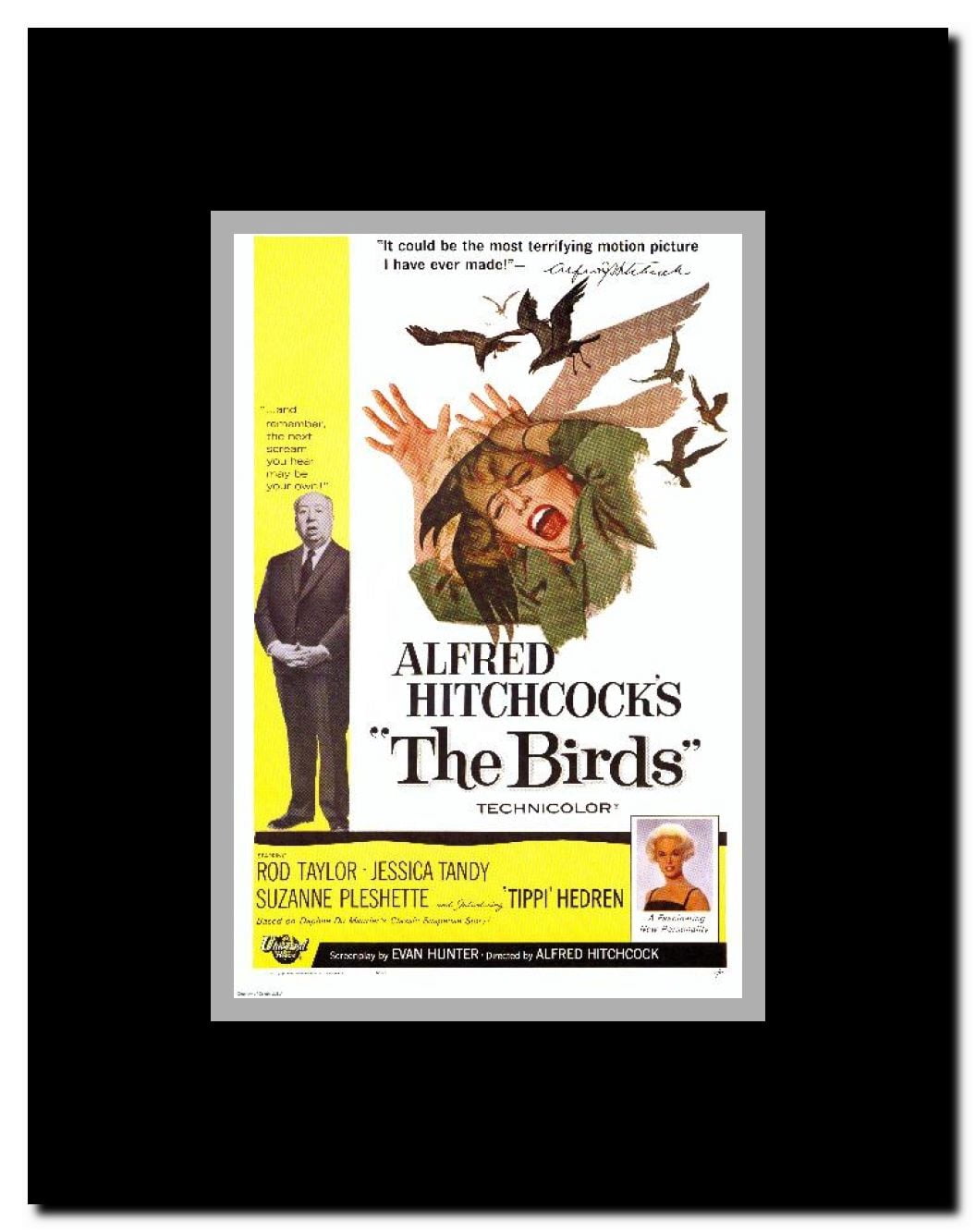 The Birds Framed Movie Poster