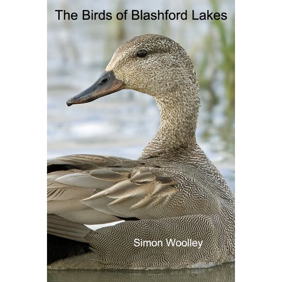 The Birds of Blashford Lakes (Paperback)